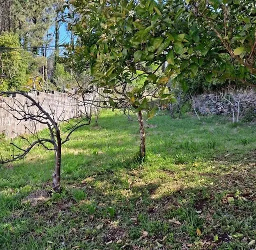 Σπίτι διακοπών Casa Amarela Corcubión