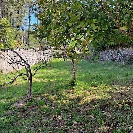 Vakantiehuis Casa Amarela Corcubión